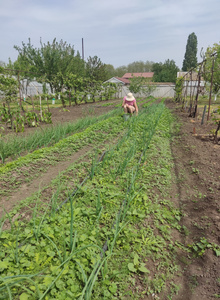 Natahka38 My Photos photo 11057263