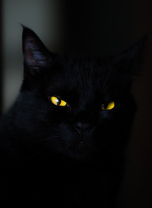 Bez_negativa My Photos photo 12174059