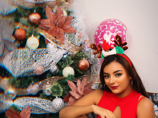 Merry Christmas 2024 🎄