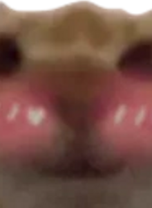 Ded_Pierre_Dun My Photos photo 11106839