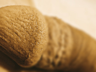 Мммм самый пиздец пошлый и очаровательный чле 🥵🥵