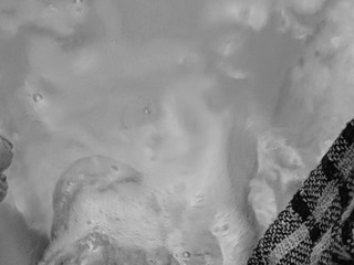 Сладкий член