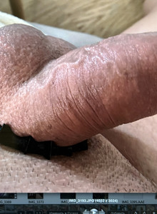 nsk7217 My Photos photo 13557496