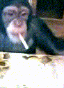 toprom My Photos photo 13049104