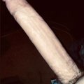 Hornylongcock89