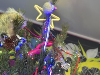 Let's create on stream! (Purchase available, PM me)