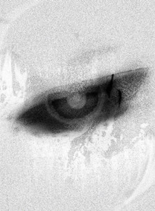 Strooonge My Photos photo 13395555