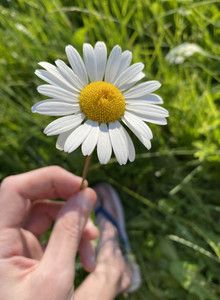 sergeyhard My Photos photo 13626800