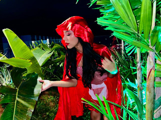 Little Red Riding Hood♥