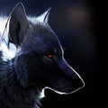 Night-Wolf-Storm