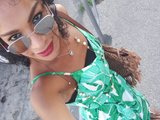 Rachytrans