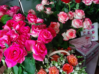 Обожаю цветы!