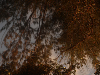 Come visit me in the Philippines 