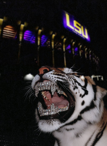 danila69 My Photos photo 14181982