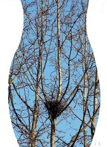 Macallan7777 My Photos photo 14311476