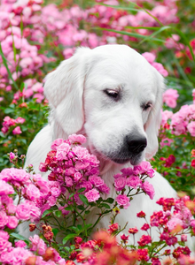 Marina21a My Photos photo 14361972