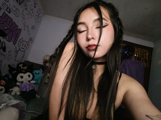 🐈‍⬛🐈‍⬛