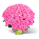 Kytica ružových ruží