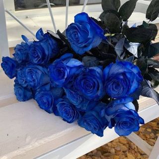 Bouquet of blue roses