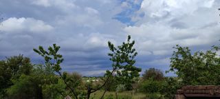 I want to go to the sea