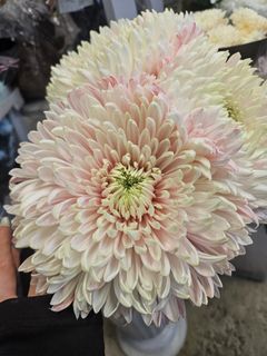 I really want the same ones for myself