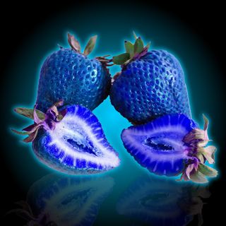 Blue Strawberries