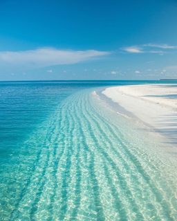 I want to see the sea