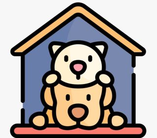 I want a shelter for street dogs