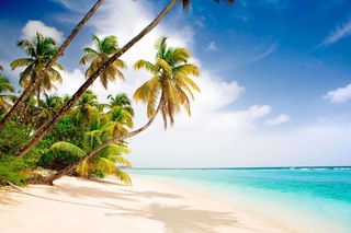 Vacation on the ocean