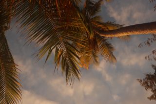 Your tip will help me to makes my dream come true