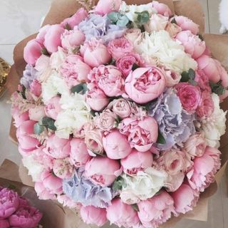 A bouquet of favorite flowers