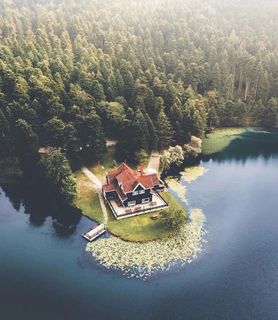 I dream of a big house in the forest not far from the city and having 2 big dogs.