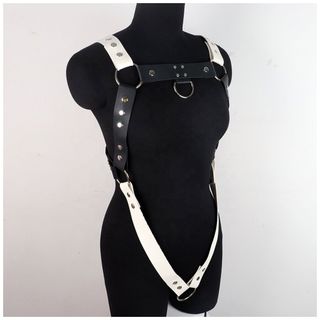Harness