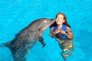 swim with dolphins)