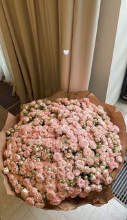 CinderelaVel wish list item 2 thumbnail