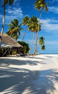 love too live close beach