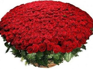A huge bouquet of roses