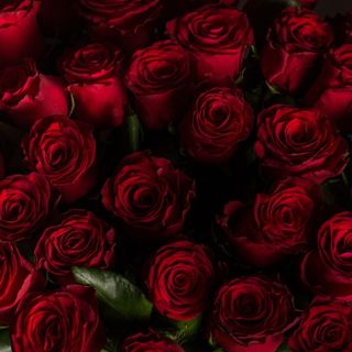 Bouquets of flowers, Bouquets of flowers