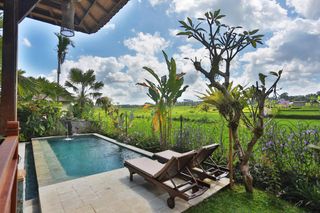 Live and work in Bali