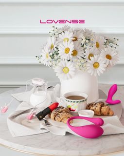 Lovense toys