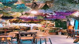 My own flower shop ^^