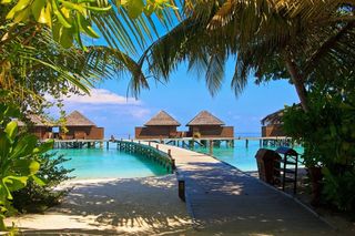 vacation in the Maldives