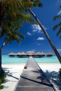Vacation  in the maldives