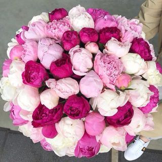 A huge bouquet of peonies