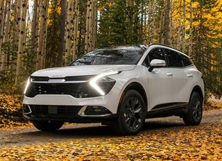 tener un carro del año