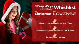 Lovesense Chistmas WishList