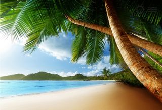 Help me get closer to my dream