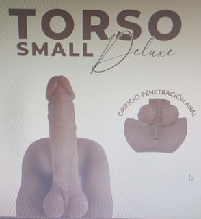 Torso Small Deluxe Men Brown