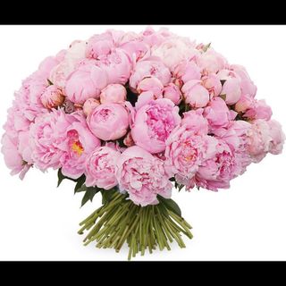 Peonies...I love them
