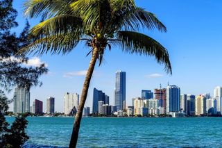 I want to go to Miami 